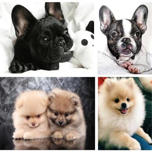 Pet Dog Animal 5D Diamond Painting French Bulldog Pomeranian Puppies Full Square Drill Cross Stitch Kit DIY Diamond Embroidery