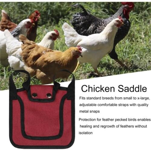 Chicken Saddle Apron Hen Back Protection with Elastic Strap Cloth Cover Backyard Poultry Chicken Feather Protector Jackets