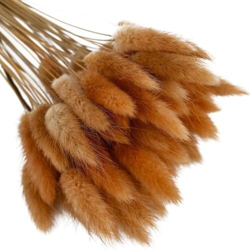 50pcs Foxtail Barley Grass Bonsai Home Decoration Colorful Natural Dried Twelve Flower Dried Flower Photo Props Dog Tail Grass