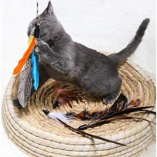 5PCS Replacement Cat Feather Toy Set Cat Feather Teaser Wand Toy for Kitten Cat Having Fun Exercise Playing Stick