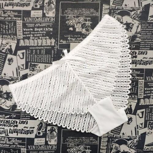 DeRuiLaDy 2PCS Sexy Perspective Lace Panties Women Comfort Cotton Bottom Panties Lingerie Low Rise Underwear Knickers Briefs