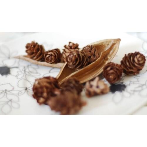 100pcs/lot Mini Small Natural Pine Cones Dried Flowers for Christmas Decoration or Crafting