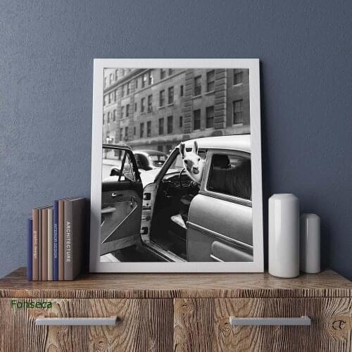 Fashion Llama Poster Modern Funny Animal Canvas Painting Black And White Nordic Wall Art Picture For Living Room Home Decor
