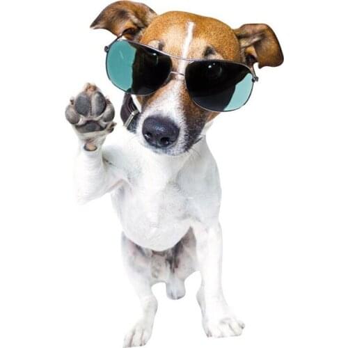 Full Square Round 5D DIY Diamond Painting "Animal Dog" 3D Embroidery Cross Stitch Daimond Mosaic Home Decoration