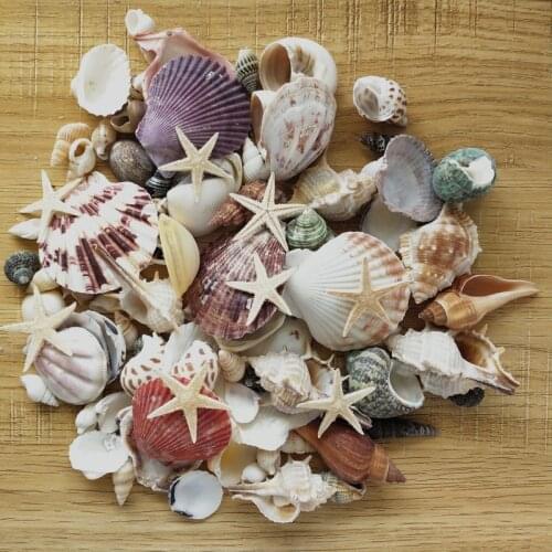 100PCS Mixed Ocean Sea shells Wedding Decor Beach Theme Party, Seashells Home Decorations, Fish Tank,Candle Making sea star