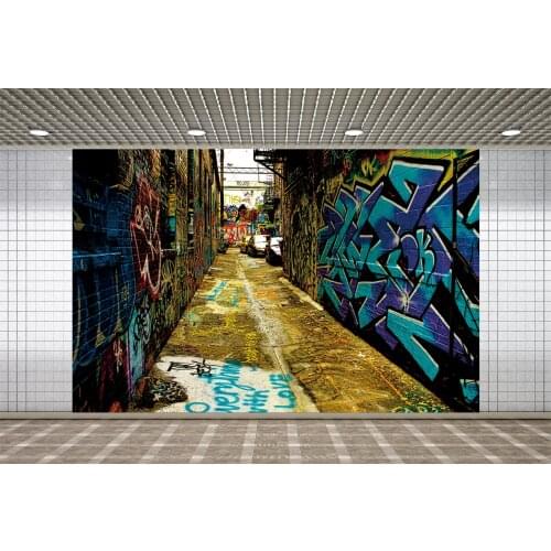 Lyavshi Graffiti Brick Wall Alley Scene Photography Backgrounds Customized Digital Photographic Backdrops For Photo Studio