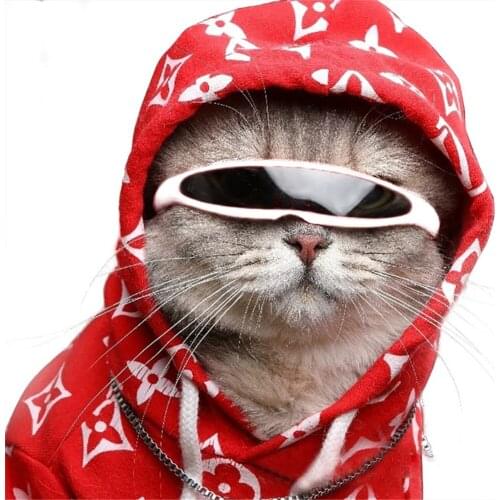 Cool Sunglasses Small Pet Dogs Eye-wear Photos Props Cat Windproof Protection Goggles UV Creative Pets Glasses