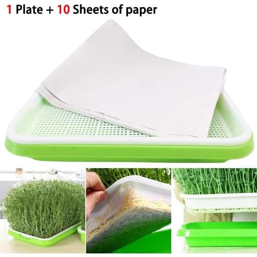 1set Plastic Nursery Pots Seed Sprouter Tray PP Soil-Free Big Capacity Wheatgrass Grower Seedling Tray Sprout Plate Hydroponic