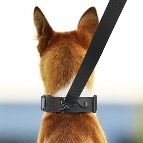 Black Dog Collar Nylon Small Large Dogs Puppy Collars Dog Collar With Leash, For Small Medium Large Pet Chihuahua
