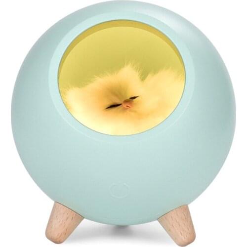 Mini Pet House Night Light Portable USB Dimming Table Lamp Kids Baby Bedroom Decoration Light