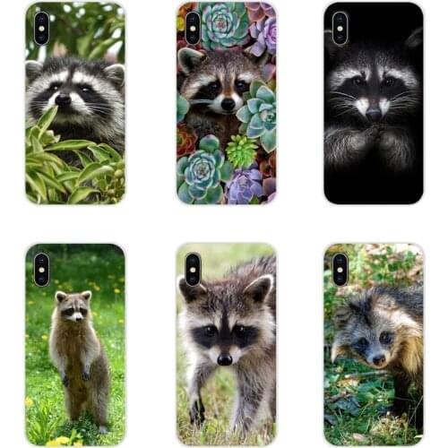 For Xiaomi Mi4 Mi5 Mi5S Mi6 Mi A1 A2 A3 5X 6X 8 CC 9 T Lite SE Pro Raccoon Animal Accessories Phone Cases Covers