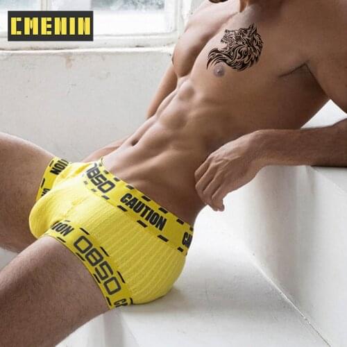 Free Shipping Cotton Boxer Mans Underwear men Low waist Mens Underpants Boxershorts Men Lingeries Penis BS3104