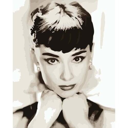 Canvas painting 40*50 cm Audrey Hepburn wall decor pictures for living room hand painted painting by numbers with frame DYH012