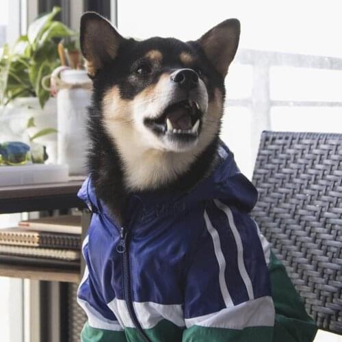 Inu Shiba Windbreaker Fashion Dog Outdoor Jacket Waterproof Raincoat Clothes Pet Puppy Coat for Small Medium Dogs TPC20