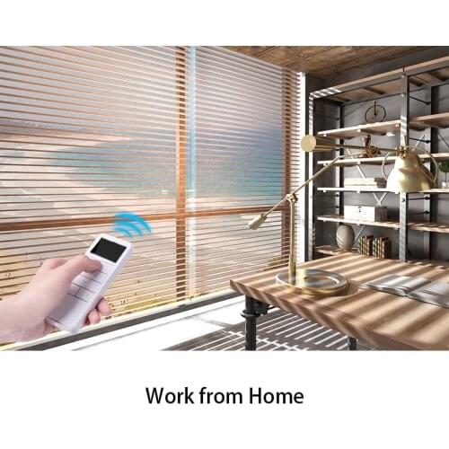 Zebra Blinds Motorized Roller Blinds with Lithium Battery Electric Remote Control Window Curtaiin for Living Room Bedroom Office