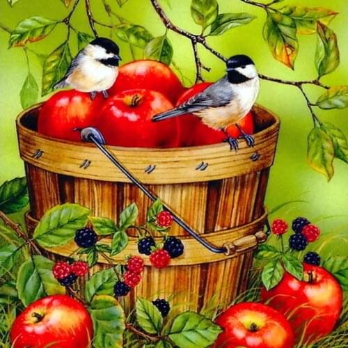 5D DIY Diamond Painting Full Square/Round Drill "Bird Apple" 3D Rhinestone Embroidery Cross Stitch Gift Home Decor