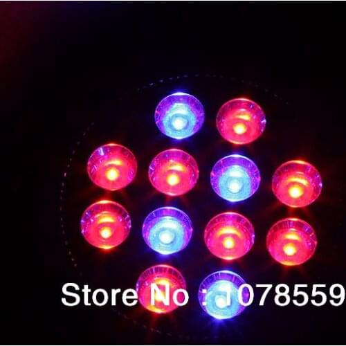 E27 36W 4Blue 8Red 660:460=8:4 12x 3W Plant Flower Greenhouse Hydroponic LED Grow Growing Light Bulb AC85~265