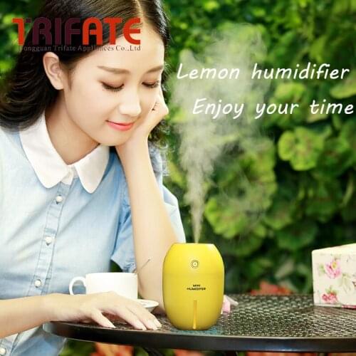 MINI Fresh Color Humidifier Aromatherapy Diffusers Lemon Humidifier for Home Office School Car Humidifiers Mist Maker