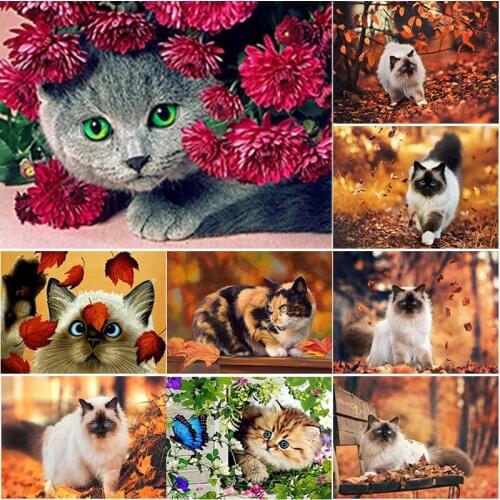 5D DIY Diamond Painting Animal Cross Stitch Cute Cat Diamond Embroidery Full Square Round Drill Manual Crafts Home Decor Gift