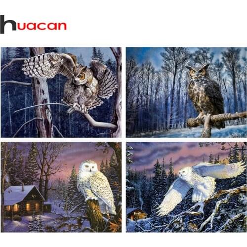 Huacan Full Diamond Embroidery Owl 5D Diamond Painting Full Square Animals Mosaic Cross Stitch Beaded Pictures Home Decoration