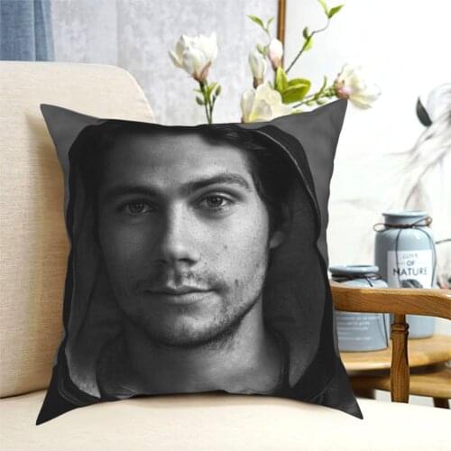 2021 high-quality movie characters Teen Wolf Pillowcase Printing Fabric Cushion Cover Gift Pillow Case Cover Sofa Square 40X40cm