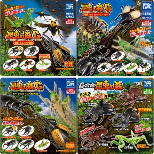 TAKARA TOMY Genuine Gacha Toys Insect Forest Unicorn Beetle Spade Armour Hornet Mantis Simulation Model Action Figure Ornaments