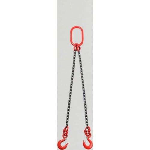 2T 2M Chain Puller Block Fall Chain Hoist Hand Tools Lifting Chain with Hook Chain Hoist Block