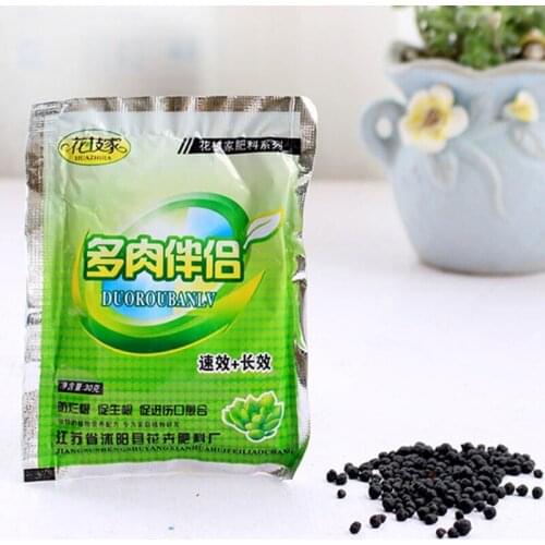 2pc Succulent Special Fertilizer Orchid Bonsai Plant Food medicinal hormone regulators growing anti-root rot Aid Garden Supplies