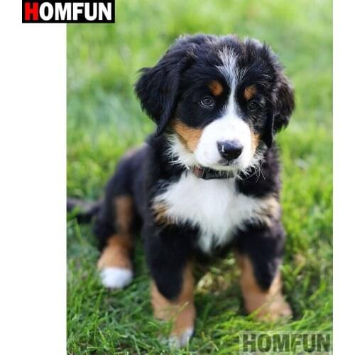 HOMFUN Full Square/Round Drill 5D DIY Diamond Painting "Dog animal pet" Embroidery Cross Stitch 5D Home Decor Gift A30072