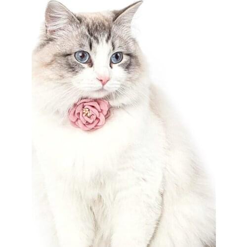Cat Collar Yarn Flower Decor Dog Collar Adjustable Puppy Necklace Breathable Kitten Neck Collar Pet Collar Pet Accessories
