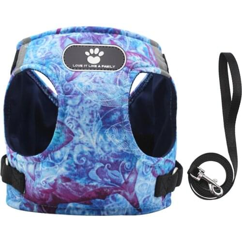 Первый питомец Kidifuns China At AliExpress