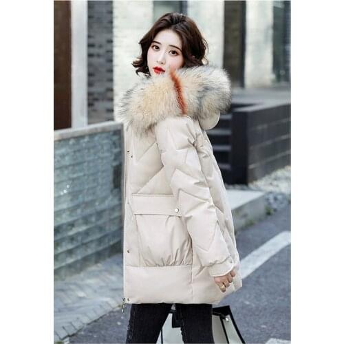 Beardon Women's Autumn Jackets