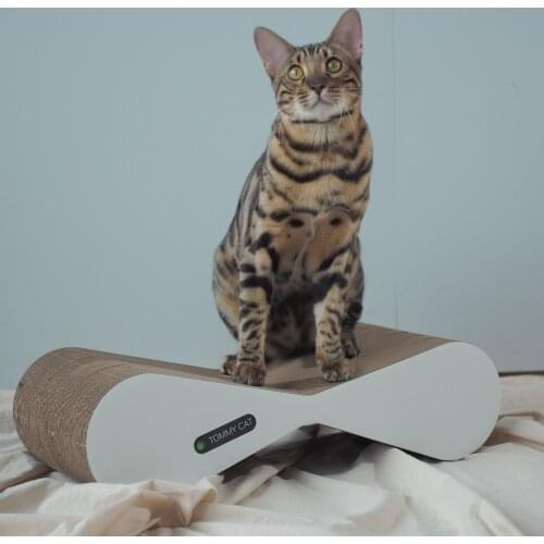 Tommycat Products For Cats