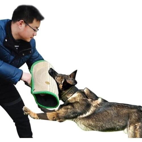 Аксессуары для кошек OOTDTY China At AliExpress