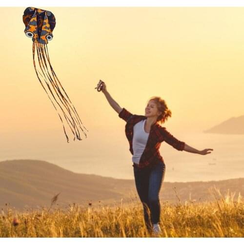 Software Octopus Kite Long Tail Animal Kite With Colorful Ribbon And Kite Board Outdoor Sports Beach Flying Kite Toys For Toys