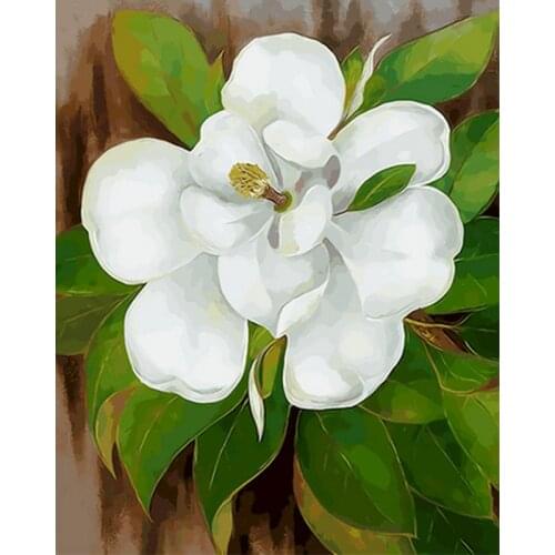 Gatyztory Frame Paint By Numbers For Adults Kids Camellia Handpainted Oil Painting Flower Canvas Drawing DIY Gift Wall Decor