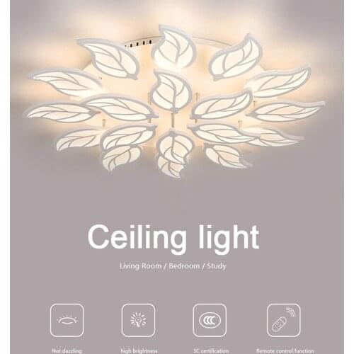 LED Living Room Lights Modern Creativity Ceiling Light Remote Control Function Bedroom Study Light