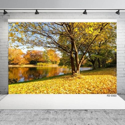 Photo Background Yellow Fallen Leaves Custom Scenic Backdrop Fond Photography Props for Portrait Children Baby Pets Photocall