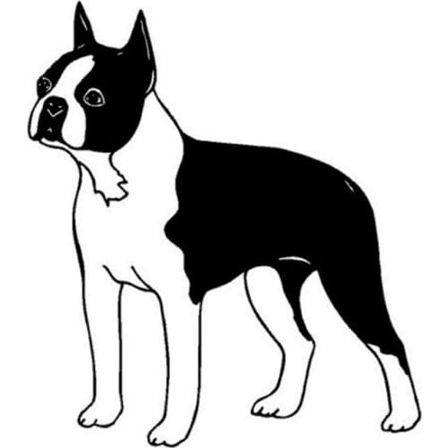Boston Terrier Dog Stickers Personality Vinyl Decal Motorcycle window Styling Accessories 12.7x14.3cm