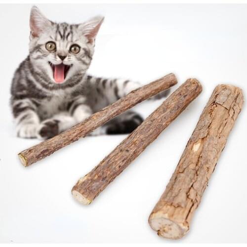 Natural Pet Cat Snacks Sticks Cleaning Tooth Catnip Cat Toys Interactive Pet Toy for Cats Cat Accessories Pet