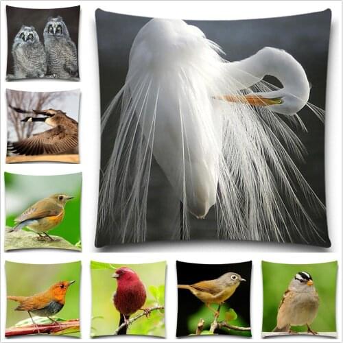 Polyester cotton plain square cushion covers sofa throw pillow case Colorful Bird decorative throw pillow covers sofa seat