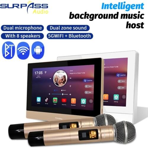 Smart Home Audio Bluetooth WiFi Wall Amplifier Android Stereo 2*zones with Handheld Wireles Microphone for Amplifier Karaoke KTV