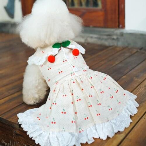 Summer Dog Lace Tulle Dress Small Dog Pets Clothes Cute Cherry Puppy Skirt Yorkshire Bichon Poodle Pomeranian Schnauzer Clothing