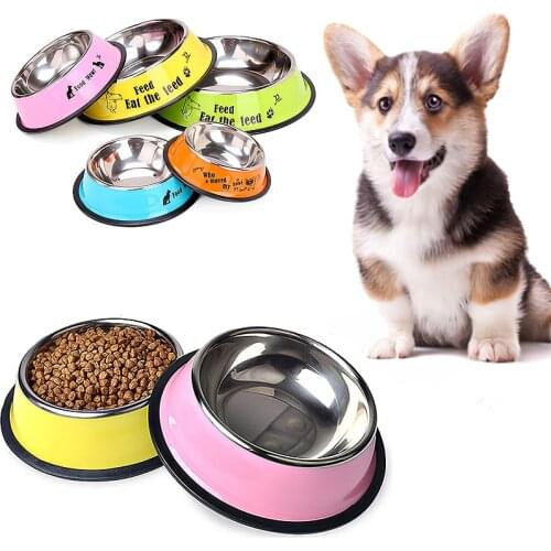 Pet Dog Bowl Stainless Steel Feeder Drinking Water Bowl Puppy Cat Food Drink Water Feeder Cartoon Pattern Anti Skid Pet Supplies