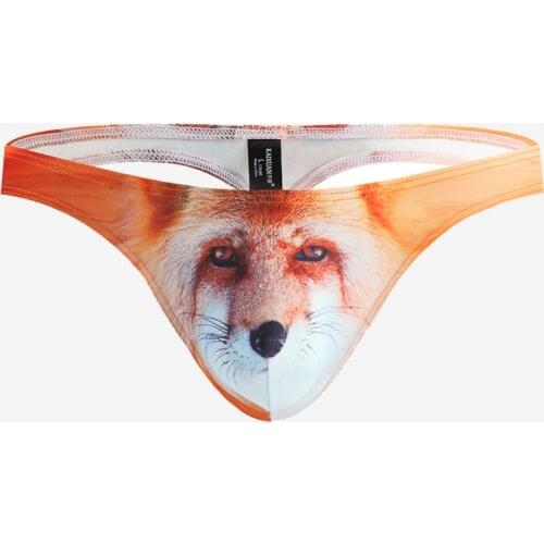 Mens Briefs Sexy Hot Boy Swimwear Mens Thong Underwear Men Micro Bikini Beach Shorts Swimsuit Quick Dry Swim Trunks Boxers Male