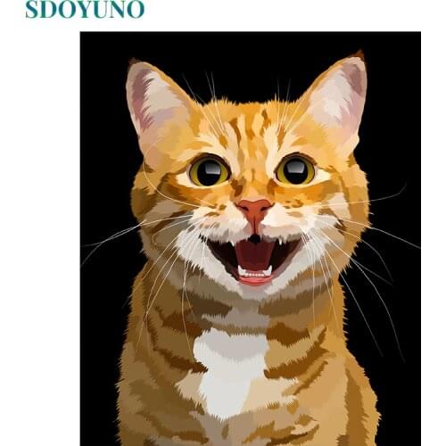 SDOYUNO Painting By Numbers 60x75cm DIY Pictures By Numbers Frameless on canvas Room Decoration Animals Cats For Unique Gift