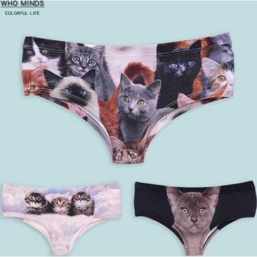 Who Minds Women Underwear