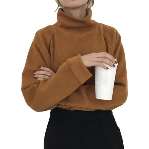 AECU Turtleneck Sweater Spring Fall Knitted Jumpers Womens Sweater Casual Loose Long Sleeve Jacket Crocheted Pullovers Female