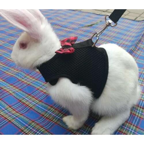 Pet Mesh Soft Harness With Leash Small Animal Vest Lead for Rabbit Bunny Small animal pet accessories Belt lead set