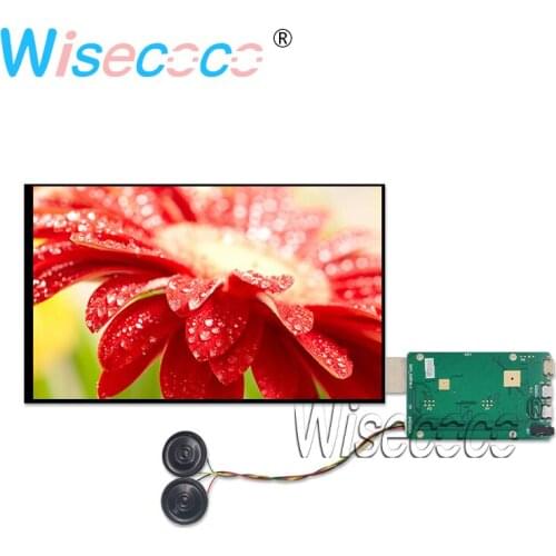 10.1 Inch 1200*1920 IPS LCD screen display mipi Audio controller board tablet PC 450nits landscape P101KDA-AB0